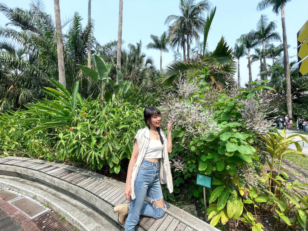 何度訪れても飽きることのない台北の穴場お散歩スポット 台北植物園 100以上のローカル観光地やツアー情報掲載中 台湾プラス