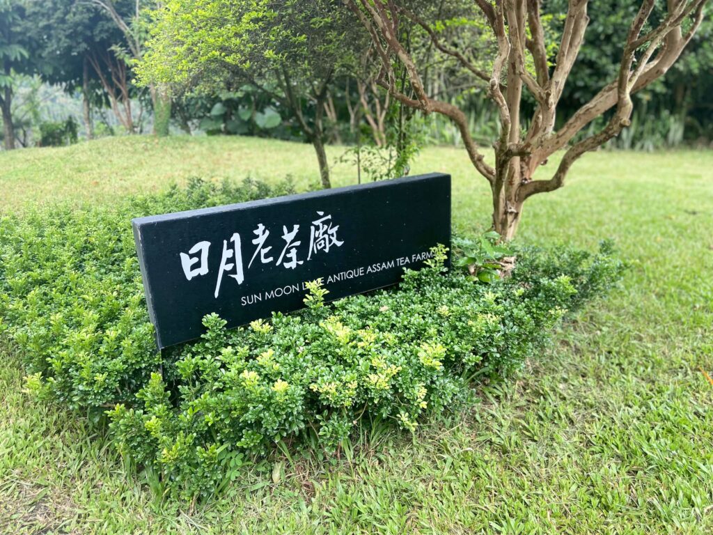 台湾日月潭紅茶工場