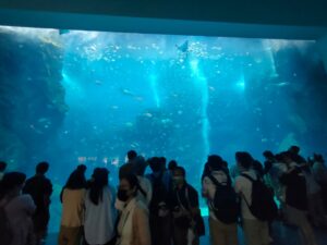 台湾桃園Xpark水族館