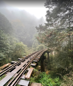 台湾幻の登山道
